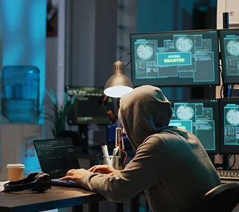 Computer & Cyber Crimes