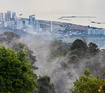 Environmental Violations